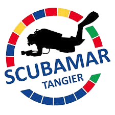 Loading Logo